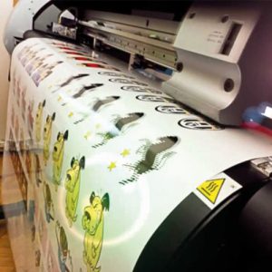 Stampa Plotter per grande formato - Tipologia di Stampa